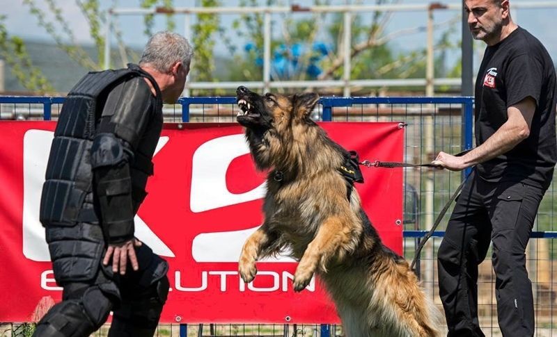 About K9-evolution